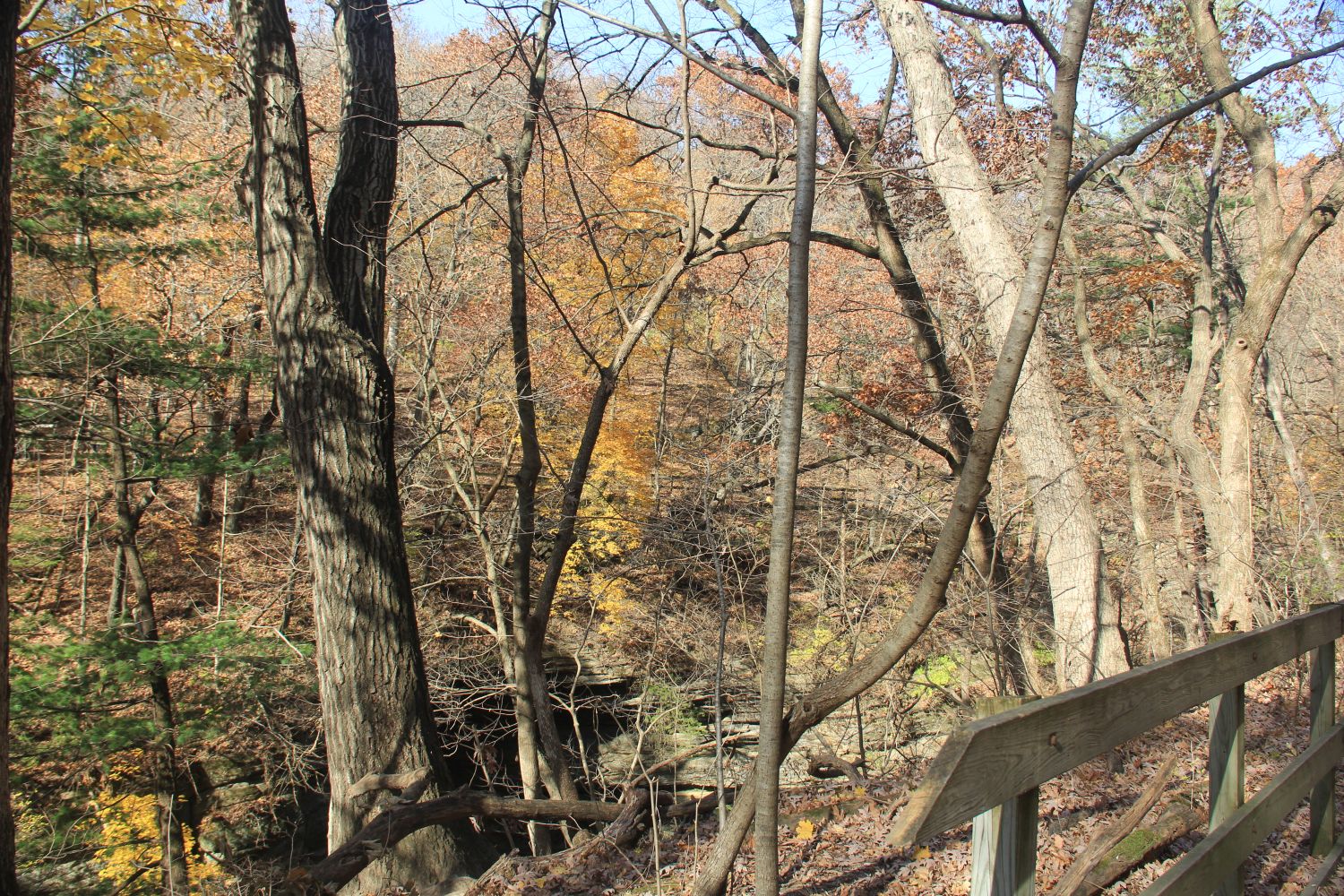 Matthiessen 